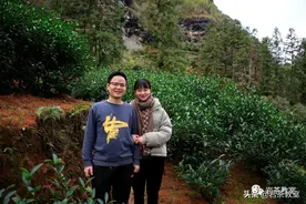 山场主人朱晓旭、甘伟斌 | 虎年岩茶的序，从“虎头”这个山场开始图片
