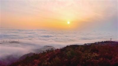 太原惊现云海！西山万亩生态园实拍，城市若隐若现