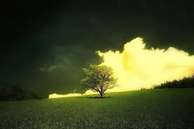 儿子带回这样的女友，妈妈怒：儿子醒醒！母子成仇，也要拆散你们图片