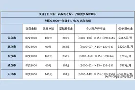 农保交3000一年领多少？不同城市退休待遇计算图片