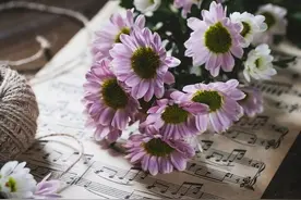 五种最难断的婚外情图片