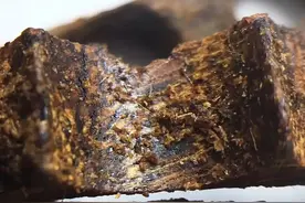 30000元一克“奇楠”，了解一下图片