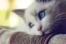 我在伤心的时候喜欢听这些悲伤的歌｜只是因为能产生共鸣图片