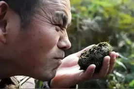 被有钱人抢着买的粪便，最后一个有钱都不一定吃的上，需提前预约图片