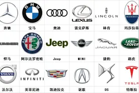 100个常见车标盘点，值得收藏图片