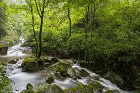 读书就是与高尚的人交谈，在浩瀚的文学中走近竹林七贤图片