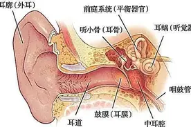 超全面分泌性中耳炎的诊疗指南图片