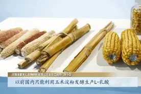 河南一县将废弃的玉米秸秆做成商品，远销50个国家年入几个亿图片
