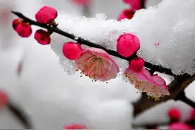 女人这样跟你发微信，其实就是想你了图片