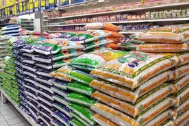 为啥大米放超市里很久都不坏，买回家没几天就生虫了？怎样防治？图片