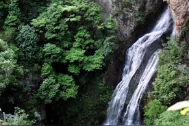 朱自清心中的“女儿绿”图片