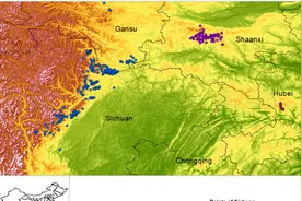 天下猴事：川金丝猴的“三国演义”图片