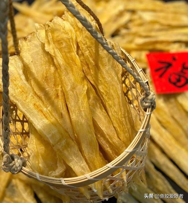 北海花胶种类图片 2026年北海花胶功效作用