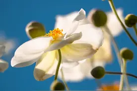 断联，是我最后爱你的方式图片