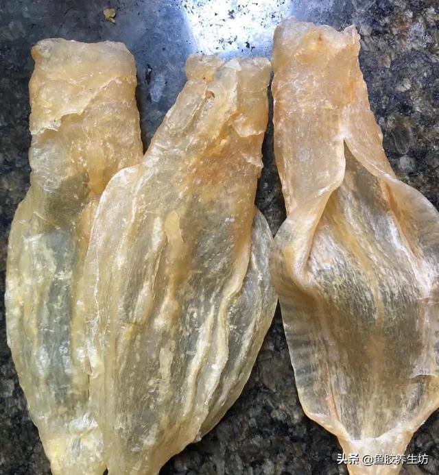 合成鱼胶 2026年合成鱼胶怎么分辨