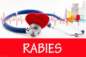 单词联想baby babies rabies图片