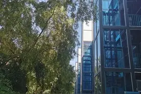 观里老旧小区加装电梯“破难题”，还有61部正在施工——图片