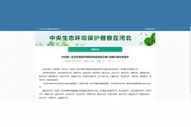 魏县：多家塑料加工厂污染环境？现已阶段性办结，责任人被处理图片