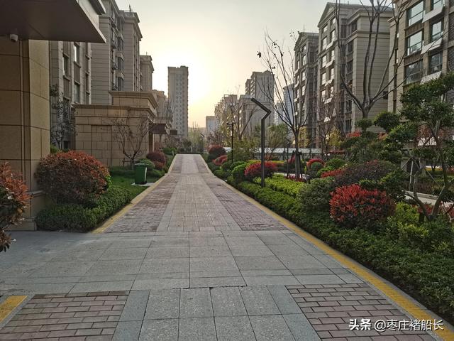 枣庄新城小区探访——南石大盘：水辰•君悦府