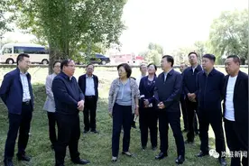 刘晋萍在岚县指导美丽乡村建设工作图片