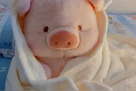 抖音头像：搞笑头像图片