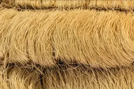 买红薯粉条时，牢记“6字口诀”，一眼就能辨别“市场假粉条”图片