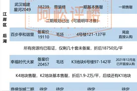 大汉口楼盘最新动态及折后价格汇总表图片