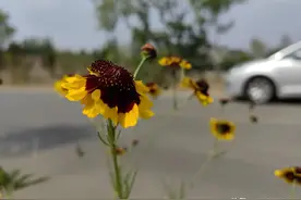 原来，百千万兆亿后面还有那么多的计数单位图片