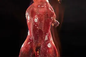 人间一趟，尽兴而已--烤鸭图片