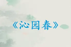 《沁园春》词牌详解，看完你也会填词图片