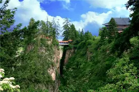 漳县贵清山“天然氧吧”，让你尽情“森”呼吸！图片