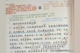 四年级语文下册第13课《猫》课堂笔记及课后习题答案图片