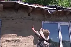 东北村妇与20条大蛇同眠共枕15年，从未被咬伤，难道蛇真有灵性？图片