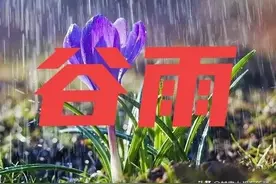 明日谷雨，老话“谷雨在月尾，农夫有两怕”指哪两怕？有何说法？图片