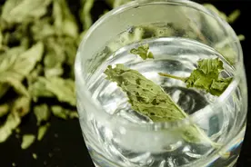 六旬大爷肾脏多发结石，他一天一壶茶，喝茶到底会不会导致结石？图片