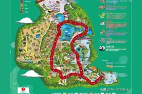 广州长隆动物园一日游攻略（带娃不早起）图片