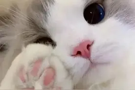 表情包 | 拿去随便刷图片