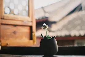 人到中年，如果带孩子去参加饭局，要做到这五个细节图片