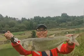 野河钓鲢鳙的九个具体要领，做好几点，有鲢鳙的河里上鲢鳙不难图片