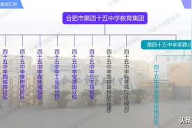 一文读懂合肥52个教育集团（教师集团内部轮岗），班长吐血整理！图片