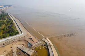 嘉兴最美公园海盐观海园，藏着一座“海上长城”，景美还不要门票图片