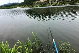 教你5个野钓时不打窝又能多钓鱼的技巧，用过的钓友都说过瘾图片