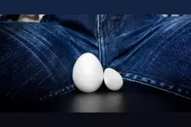 蛋蛋有时候大有时候小？图片