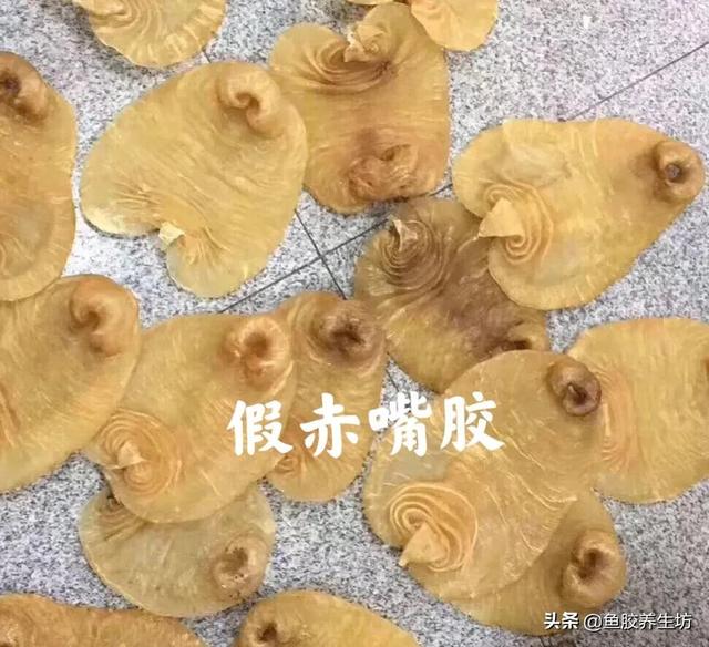 赤嘴鱼胶价格 2026年赤嘴鱼胶价格2024最新价目表 赤嘴鱼胶价格 2026年赤嘴鱼胶价格2024最新价目表