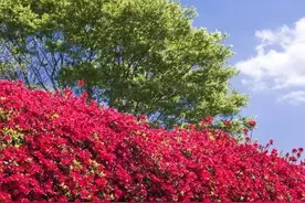 让自己气质越来越好的12个习惯图片