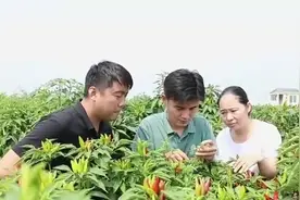 济宁市支持鼓励事业单位科研人员创新创业 开展科技研发转化图片