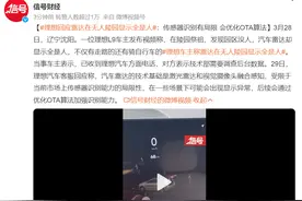你笑理想汽车能扫描出鬼，我笑你不懂高科技的美图片