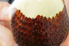 蛇皮果：独特果实的神秘面纱图片