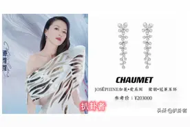 扒姐姐造型：那英穿高定，赵樱子外套5万，谭维维耳环值一辆轿车图片