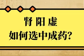 肾阳虚，金匮肾气丸、右归丸，如何正确参考？医生一次讲明白图片